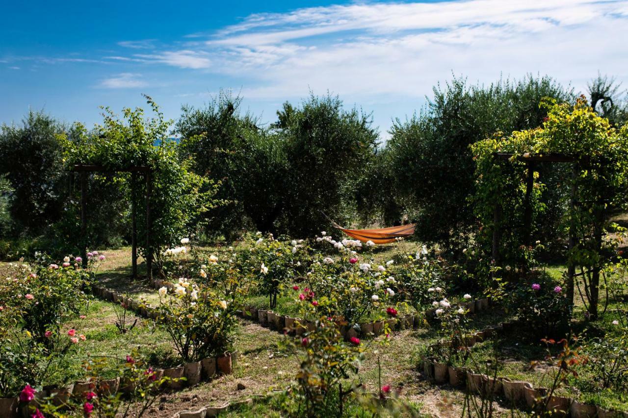 فندق Orvieto Rocca Fiorita المظهر الخارجي الصورة